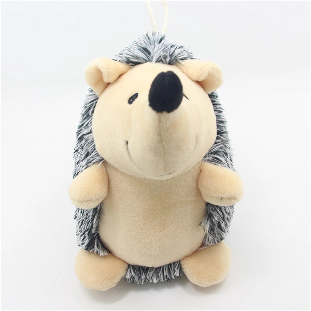 Hedgehog