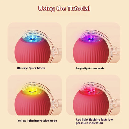 Kitty motion orb